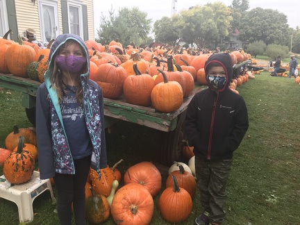Abingdon Pumpkin Patch2